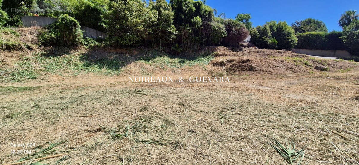 Terrain à VALLAURIS