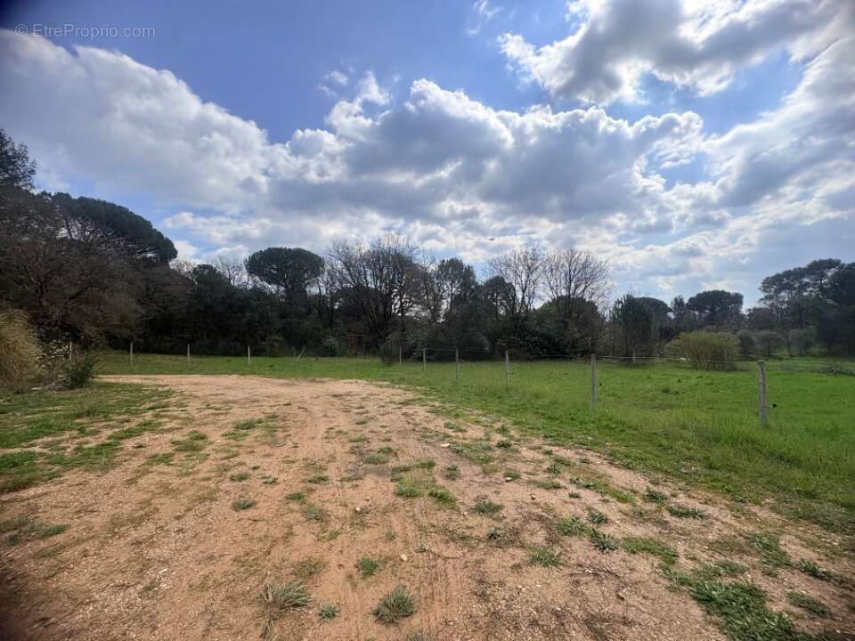 Terrain 3100 m² à Saint-Maximin-La-Sainte-Baume  - photo 3