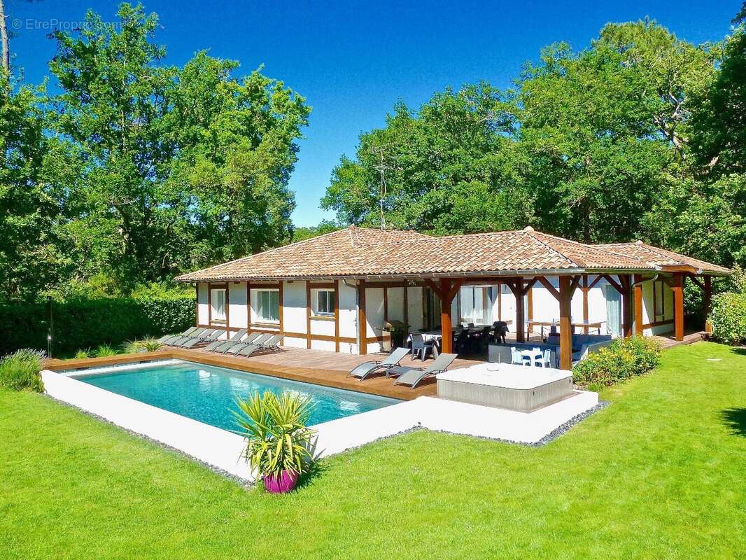 Entre Forêt Landaise et Art de Vivre  Ensemble de deux maisons sur 1638 m² de terrain boisé. - photo 2