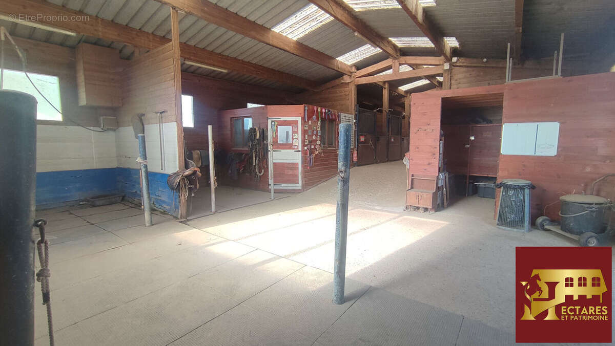 Maison à SAINT-TRIVIER-DE-COURTES