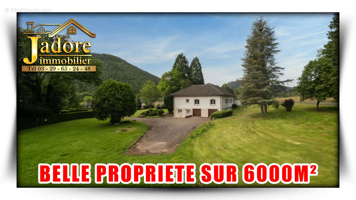 Exclusivite ! grande propriete sur 6683 m2 de terrain - photo 27