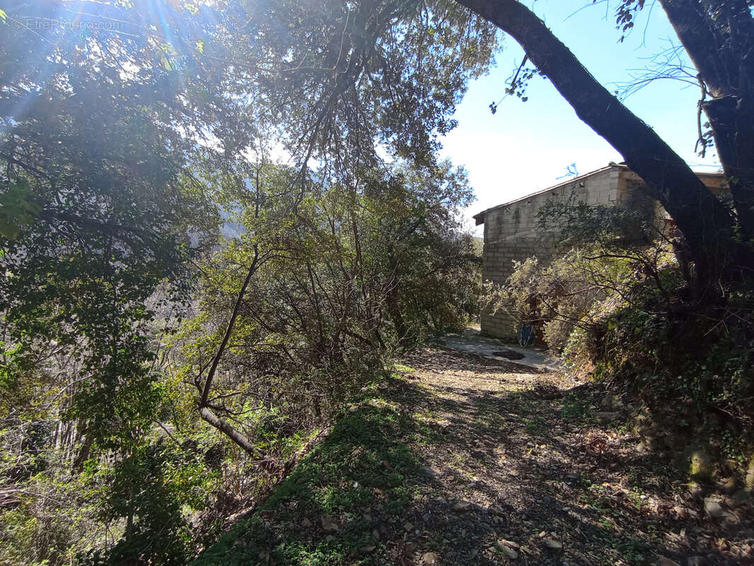 Maison à SAINT-ROMAN-DE-CODIERES