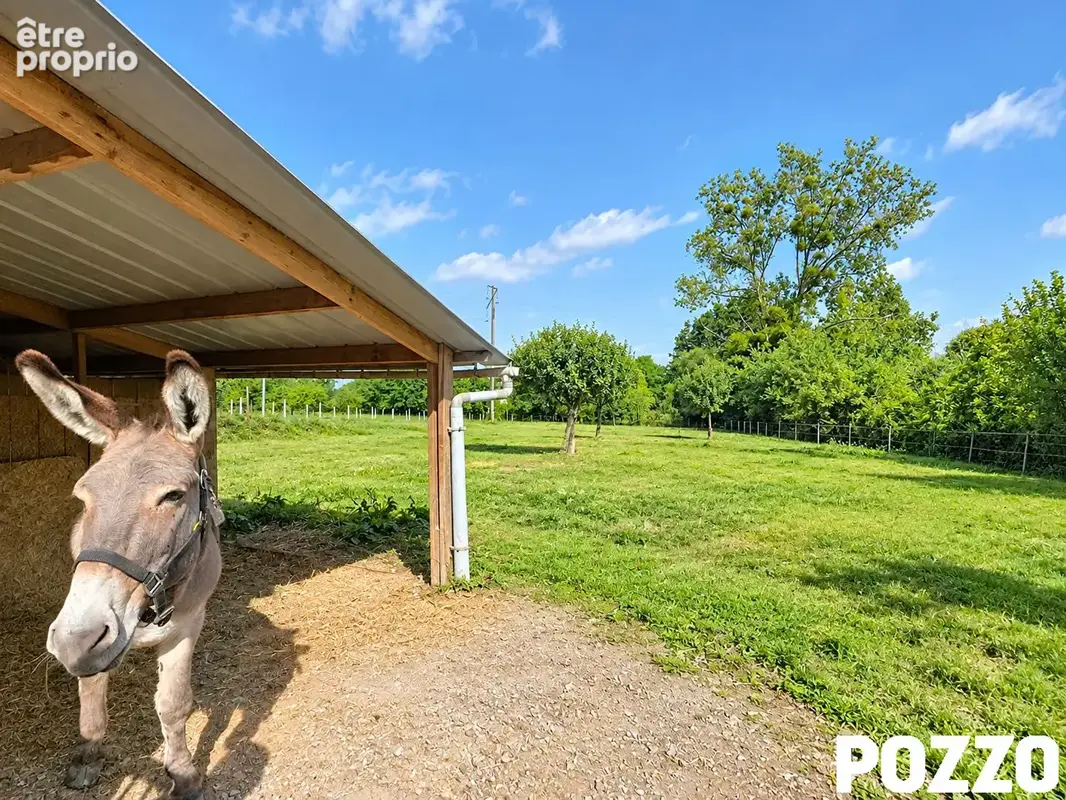 À vendre : Charmante maison à Quettreville Sur Sienne- beau terrain - dépendances - photo 17