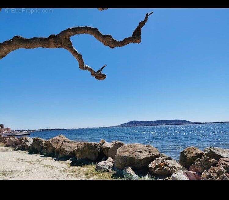 Photo 3 - Commerce à BOUZIGUES