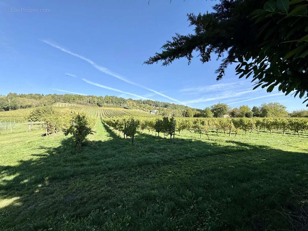 Maison à PORT-SAINTE-FOY-ET-PONCHAPT