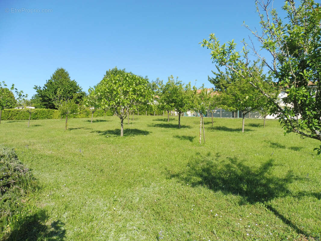 Sur les hauteurs de riberac tres belle vue - photo 21