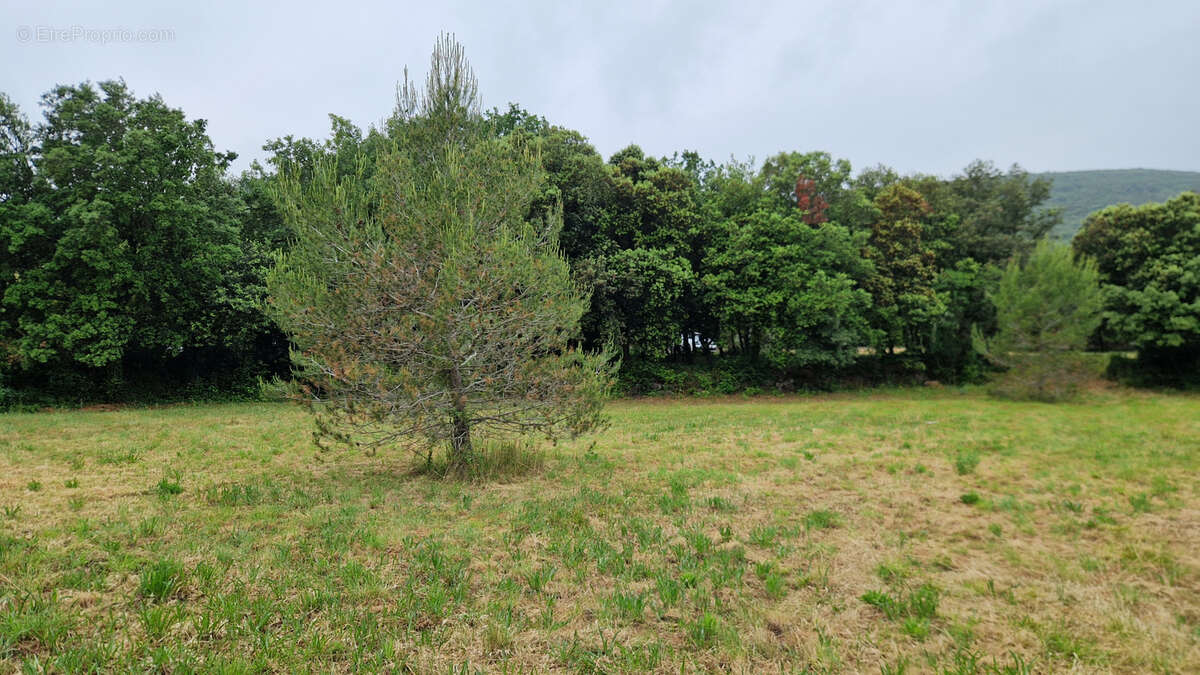 Terrain à LA BOISSIERE
