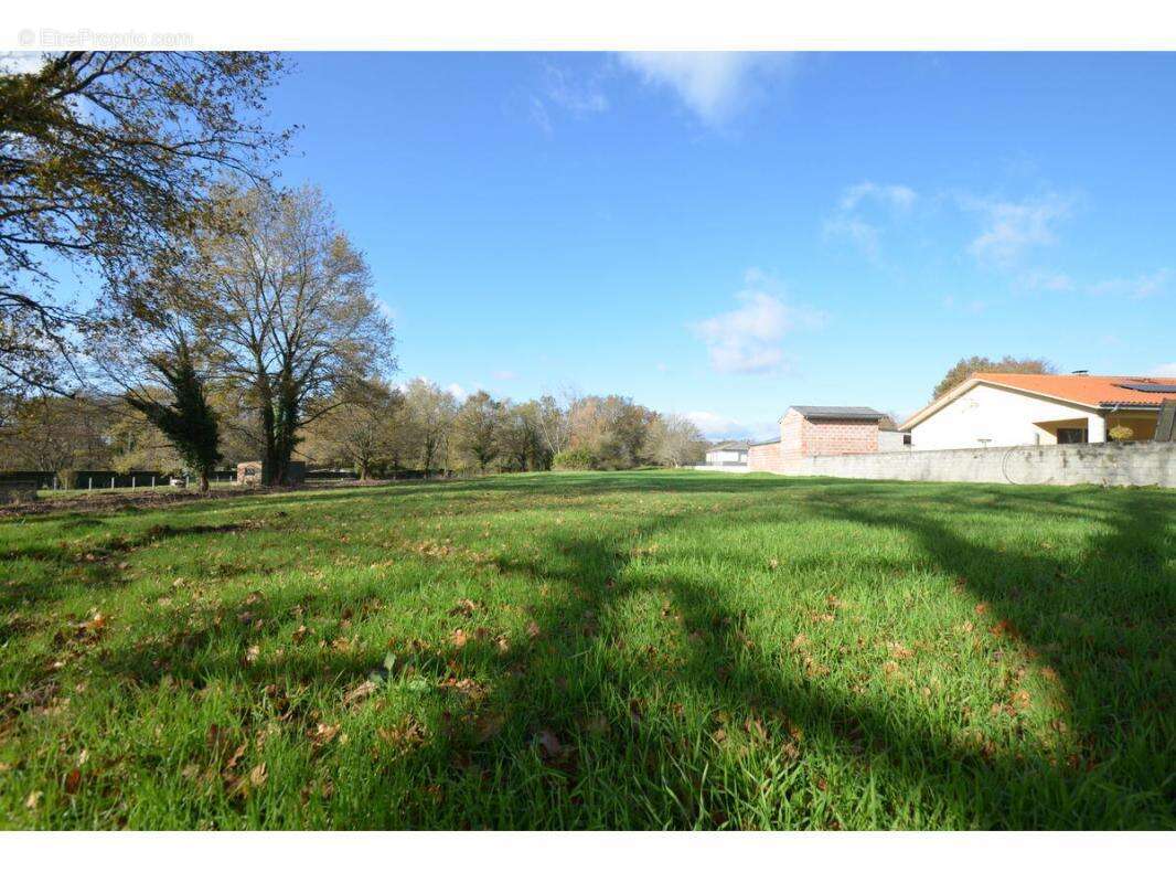 Terrain à PORCHERES