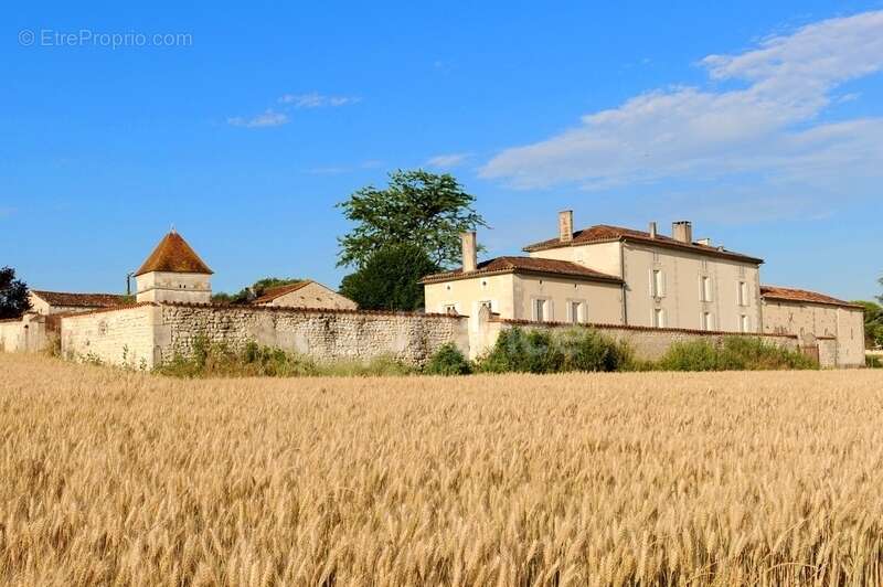 Propriete à vendre 8 pièces COGNAC (16) - photo 2