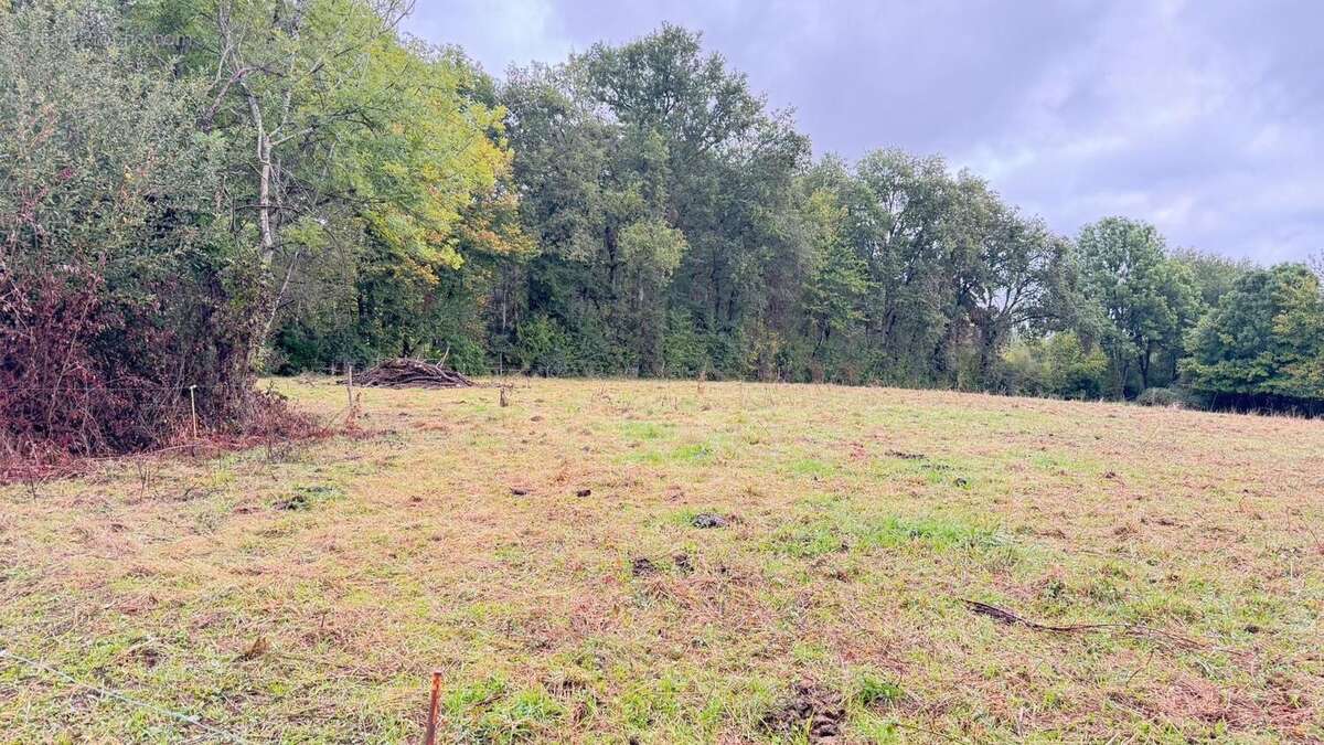 Photo 2 - Terrain à FLEURAC