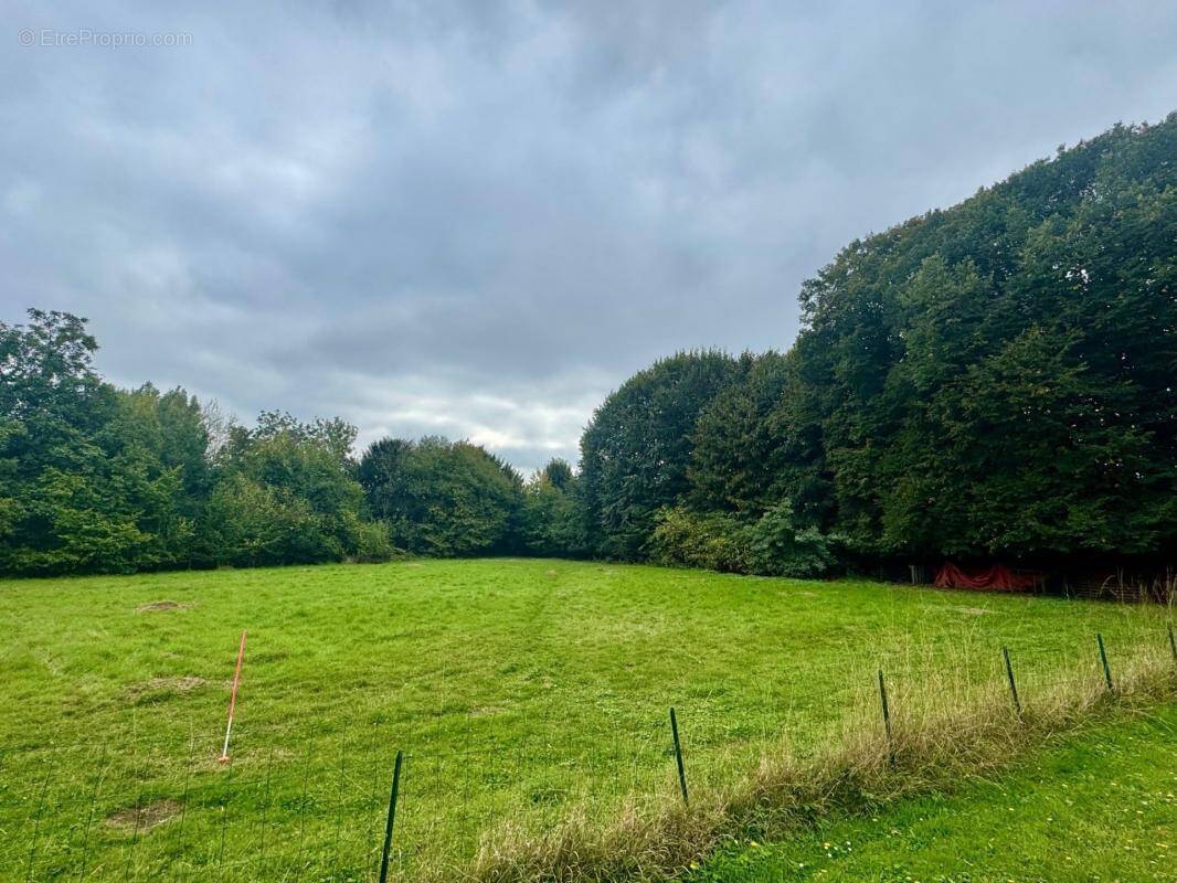 Terrain à VILLENEUVE-D&#039;ASCQ