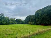 Terrain à VILLENEUVE-D&#039;ASCQ