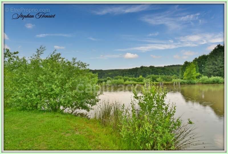 Terrain à BOULT-AUX-BOIS