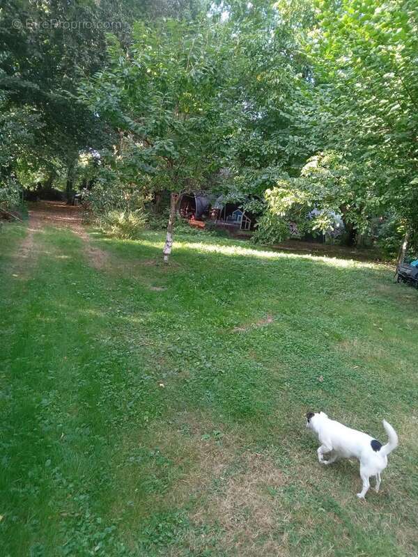 Maison à VAUDRICOURT