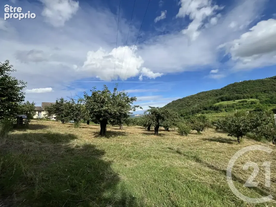 Terrain à SAINT-DESIRAT