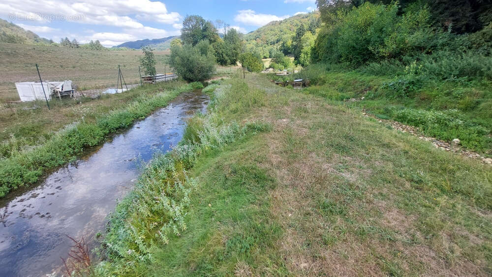 Pisciculture - murs et fond de commerce - 1.081 hectare - photo 7