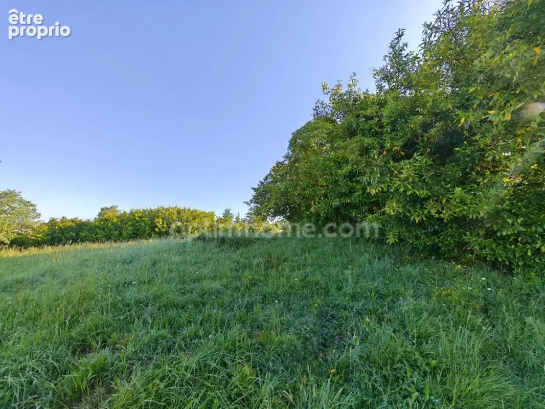 BAISSE DE PRIX !! Terrain constructible de 1 650m² situé à EAUZE (32) - photo 4