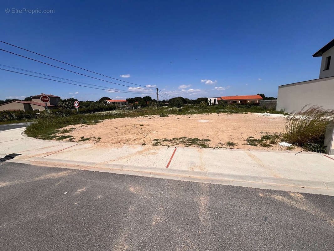 Terrain à LAROQUE-DES-ALBERES