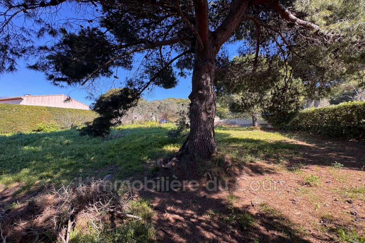Terrain à PORT-DE-BOUC