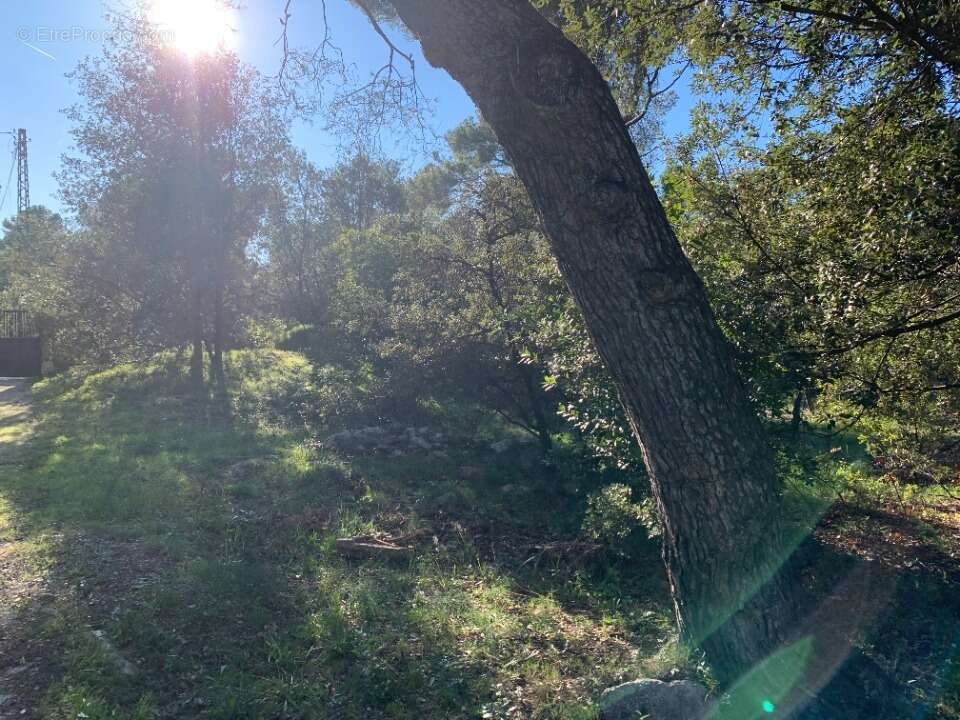 Terrain à MARTIGUES