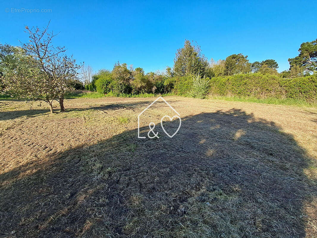 Terrain à LA TURBALLE