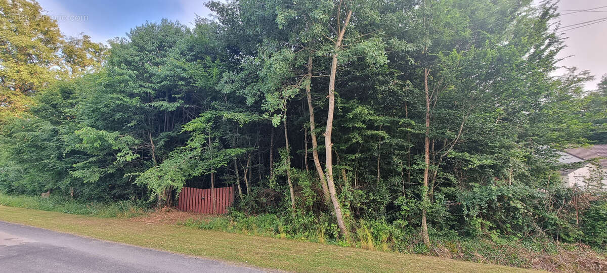 Terrain à LA SELLE-EN-HERMOY