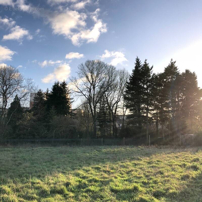 Terrain à PRUILLE-LE-CHETIF