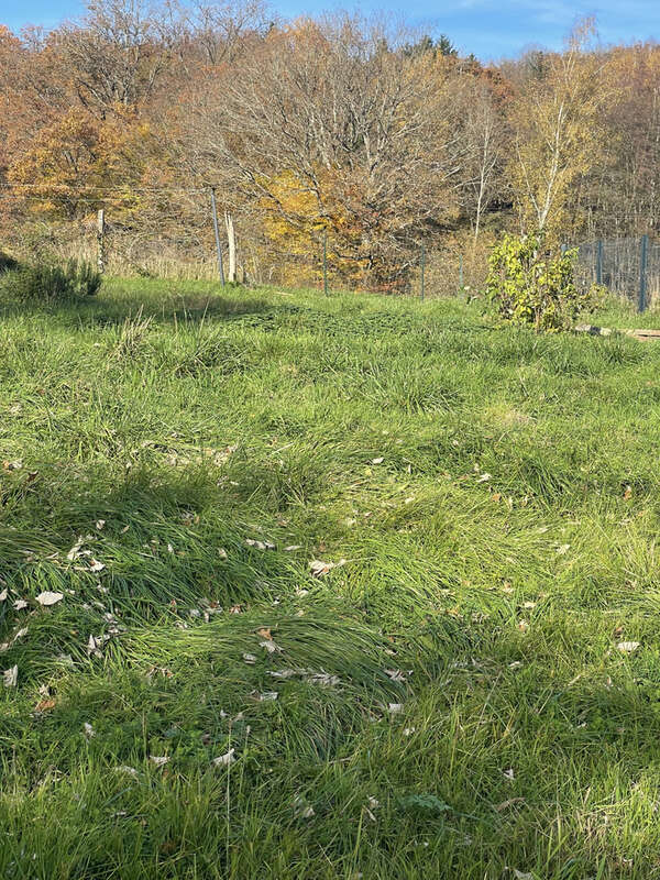 Terrain à PLANCHER-BAS