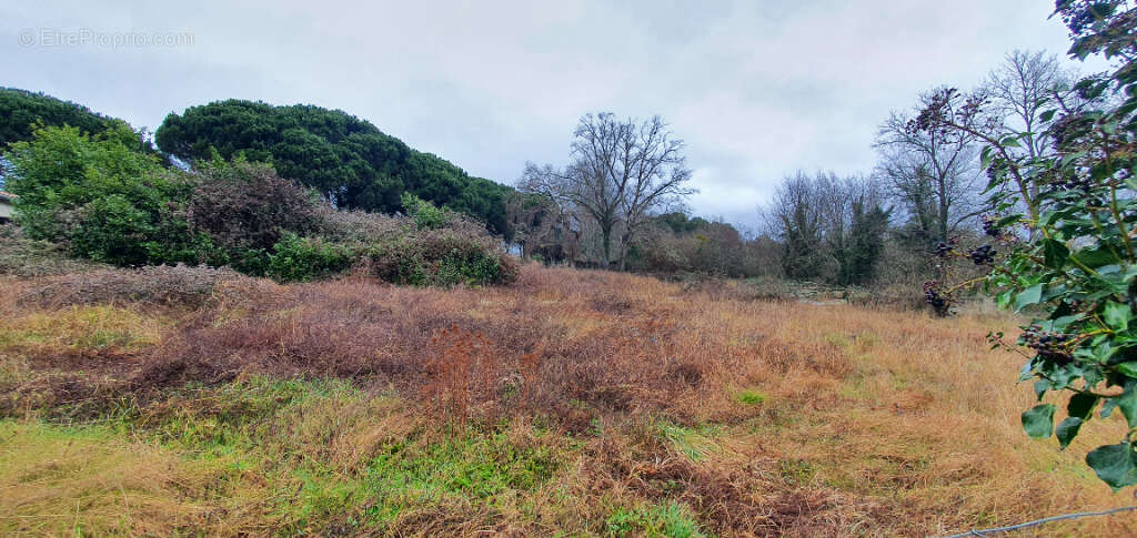 Terrain à MONT-DE-MARSAN