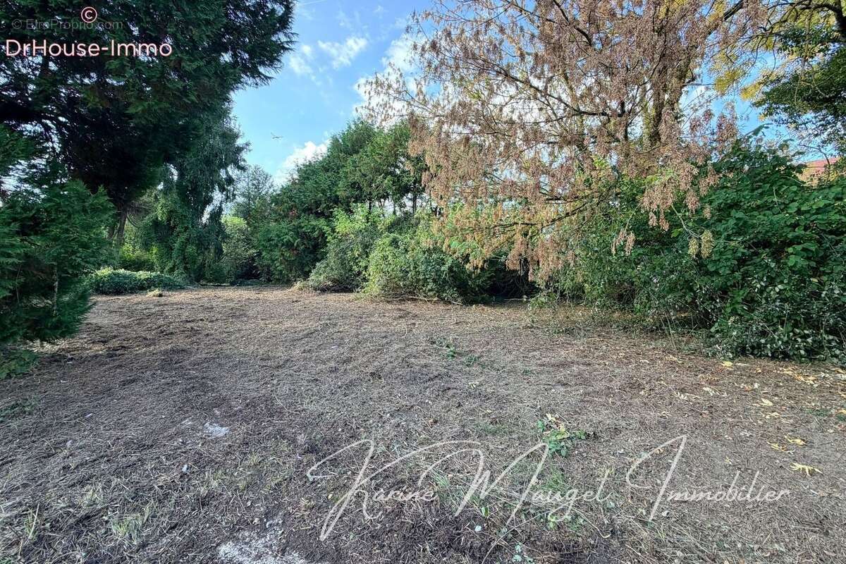 Terrain à LUMIGNY-NESLES-ORMEAUX