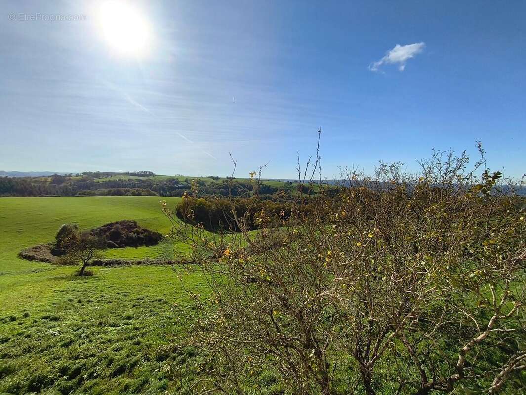 Photo 4 - Maison à CONQUES