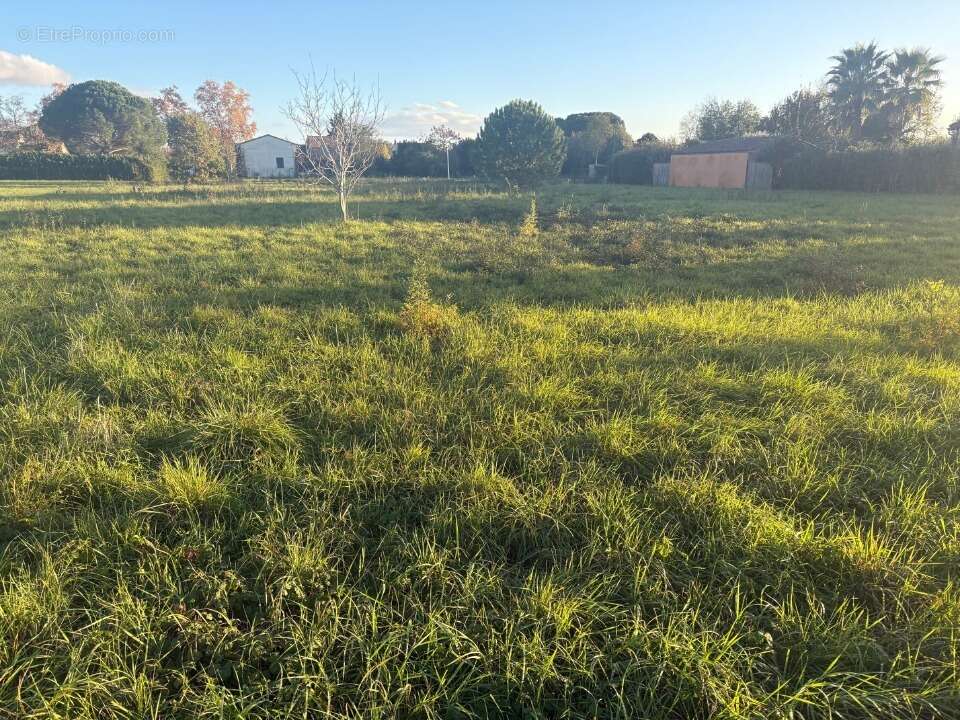 Terrain 450 m² à Pompignan  - photo 4