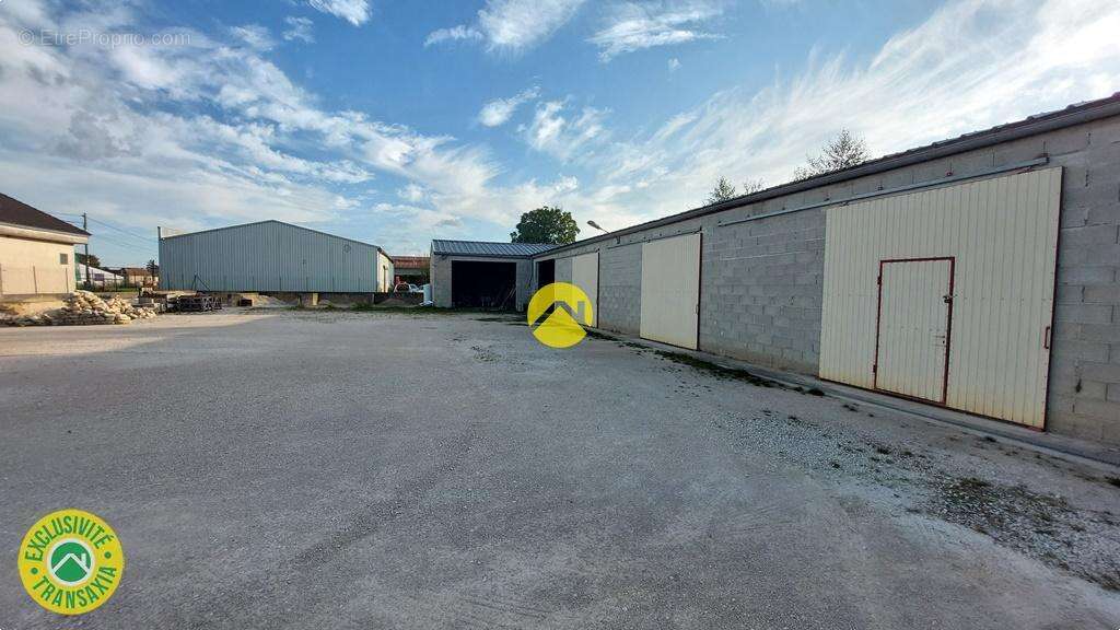 Commerce à RAVIERES