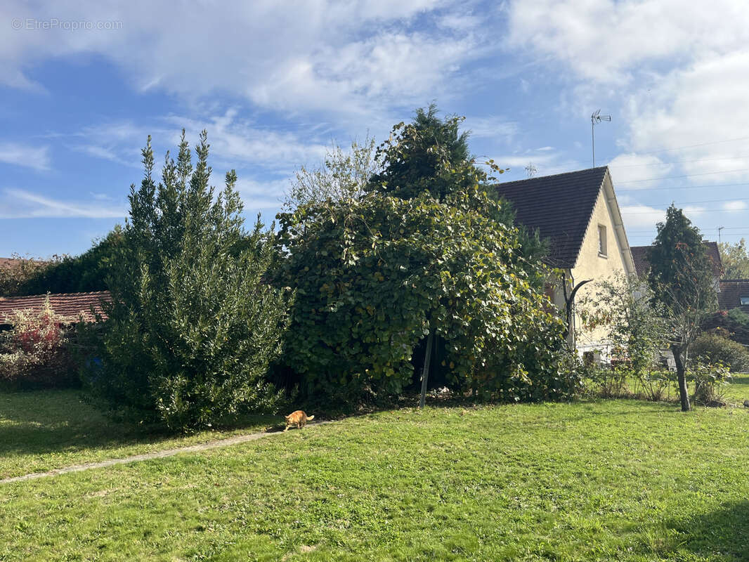 Maison à MONCEAUX