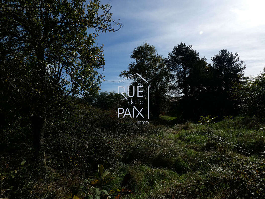 Terrain à SAVIGNY-SOUS-FAYE