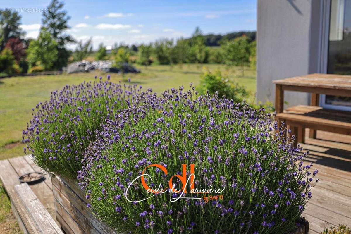 Photo 3 - Maison à SAINT-VOUGAY