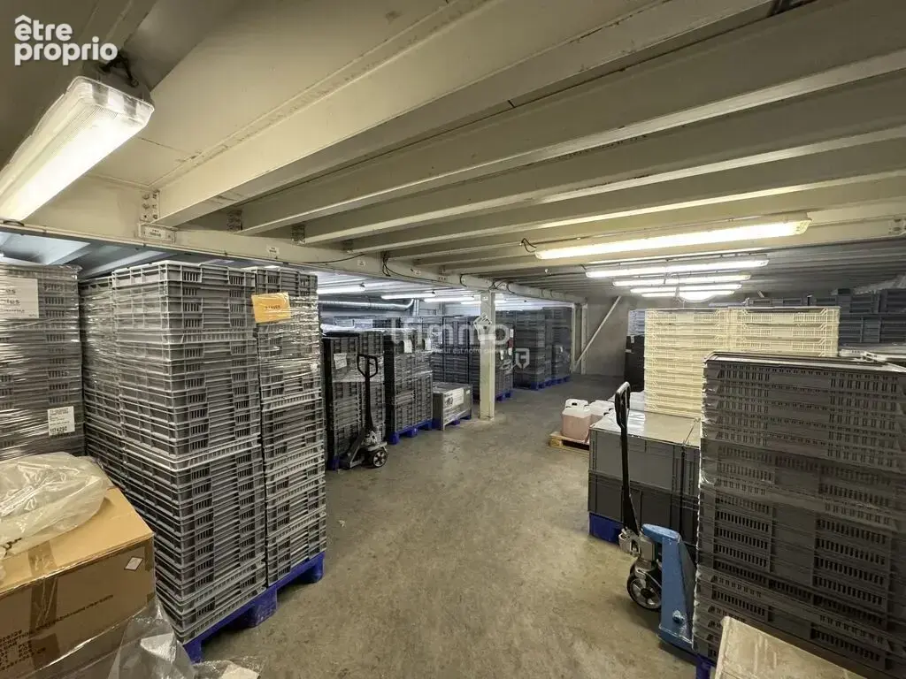 Ensemble immobilier industriel à Wittenheim (68270) - Haut-Rhin - photo 13