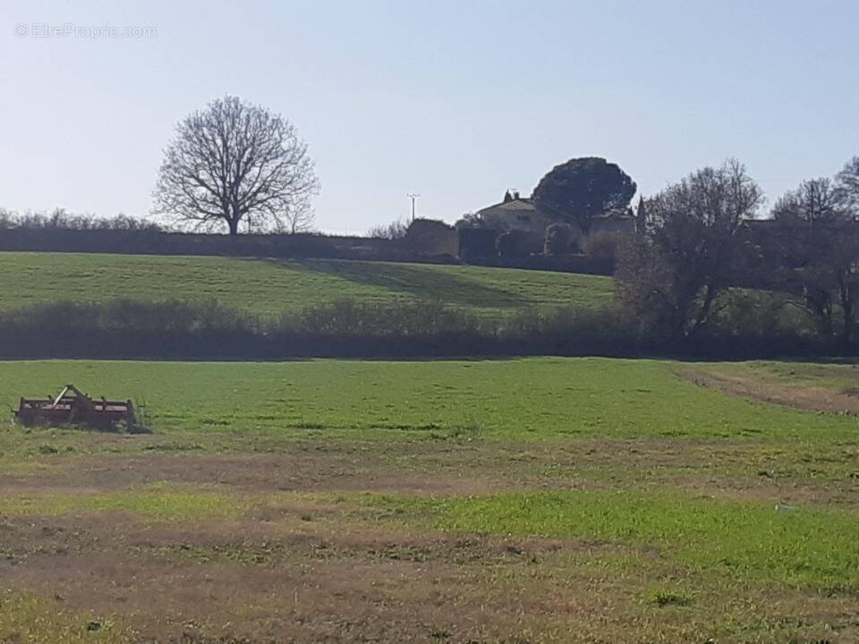 Terrain à MERVILLE