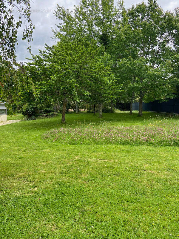 Terrain à CARQUEFOU