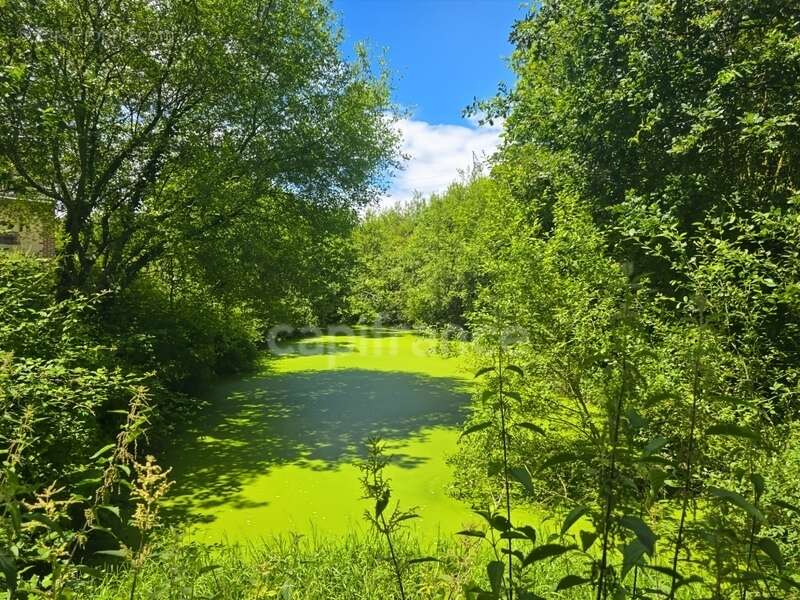 Maison de campagne avec 4 chambres, potentiel d'aménagement et terrain sans vis-à-vis à Tresson - photo 15