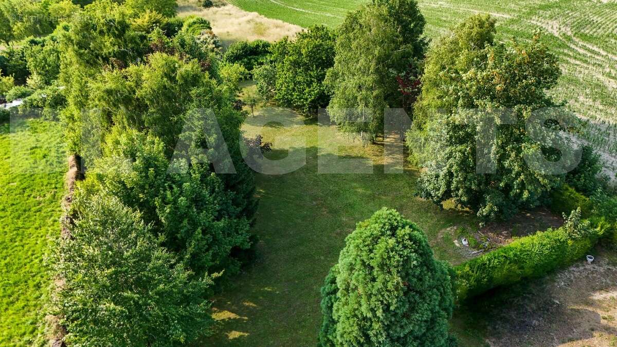 5 - Lionel MARC - BL Agents - Bret - Maison à CHOUPPES