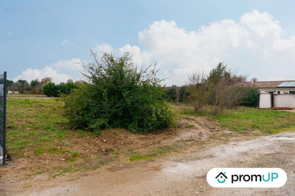 Terrain à BESSIERES