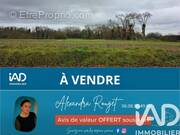 Photo 1 - Terrain à SAINT-TRIMOEL