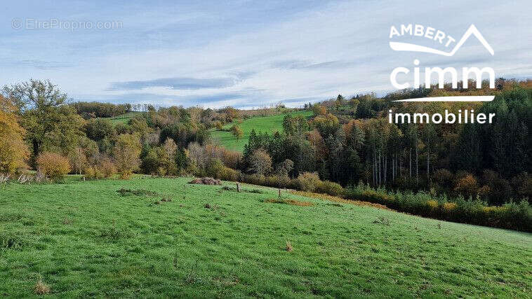 Maison à TOURS-SUR-MEYMONT