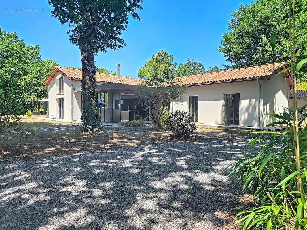 Maison 209 m² à Sanguinet  - photo 16