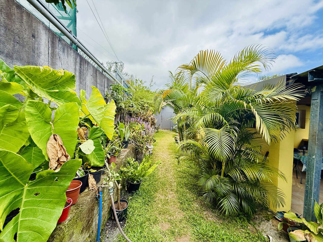 Maison à SAINT-JOSEPH