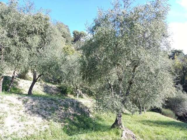 Maison à L&#039;ESCARENE