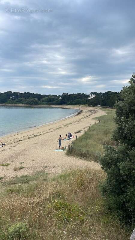 Appartement à SAINT-PHILIBERT