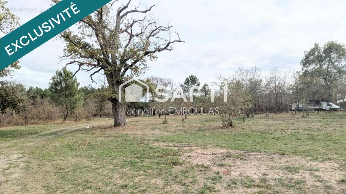 Photo 3 - Appartement à BELIN-BELIET