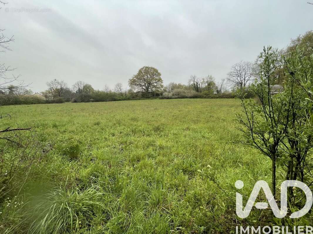 Photo 2 - Terrain à LE BLANC